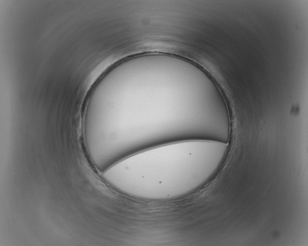 X0000111900891200907271007