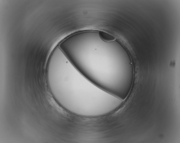 X0000111900892200907271007