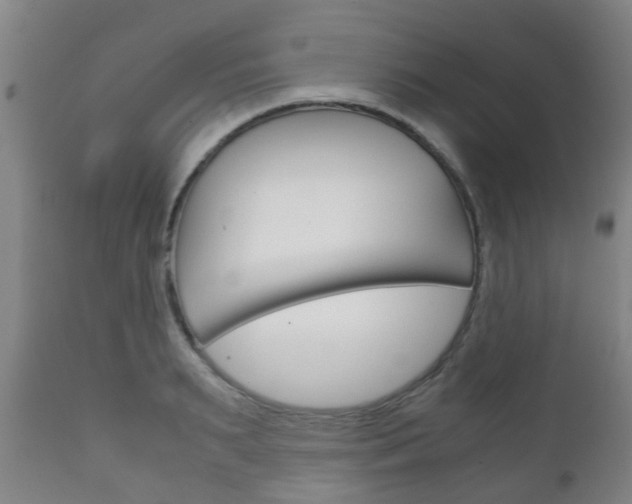 X0000111900895200907271007