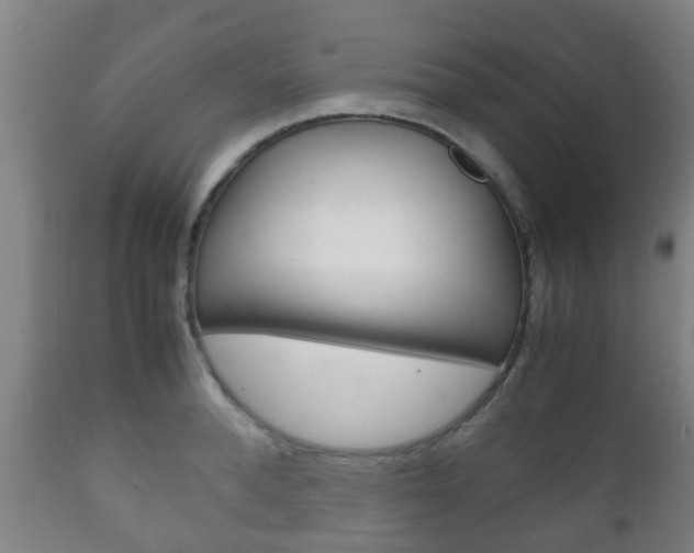 X0000111900896200907271007
