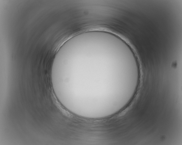 X0000111900897200907271007