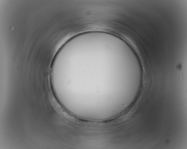 X0000111900899200907271007