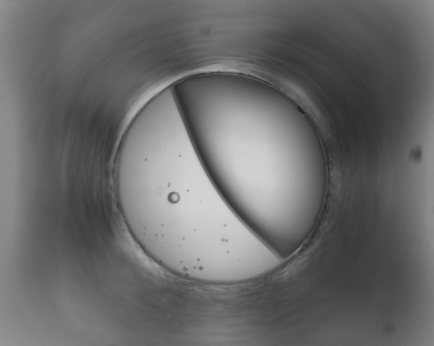 X0000111900900200907271007