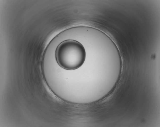 X0000111900901200907271007