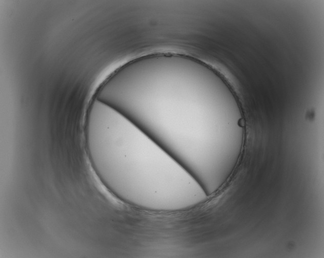X0000111900902200907271007