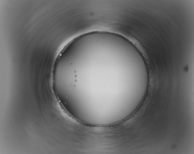 X0000111900904200907271007