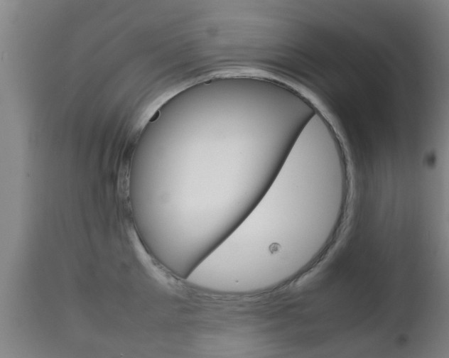 X0000111900905200907271007
