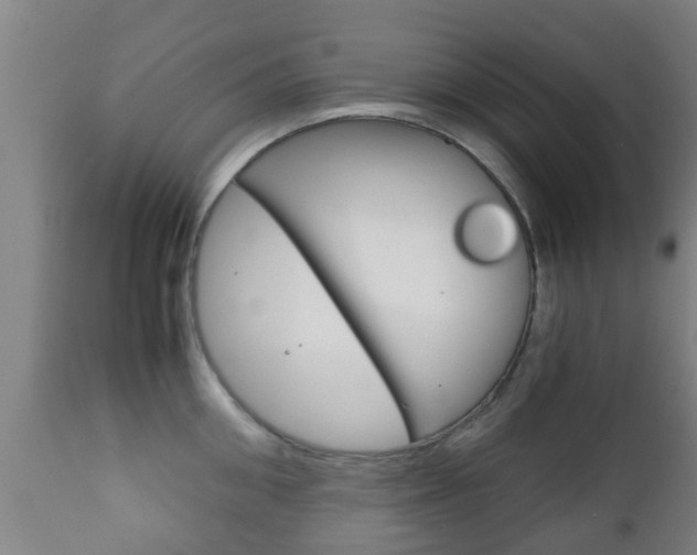 X0000111900906200907271007