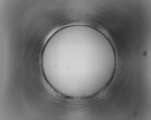 X0000111900907200907271007