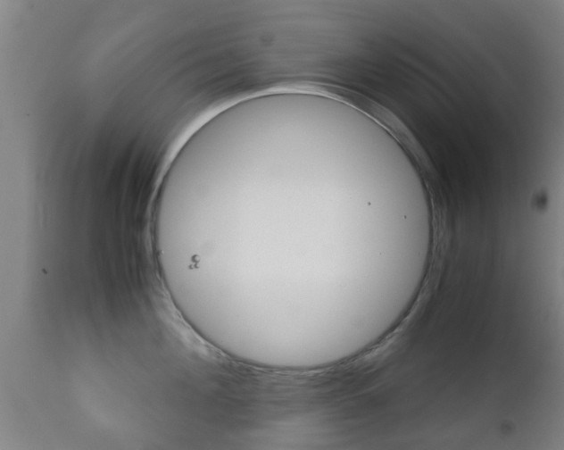 X0000111900908200907271007