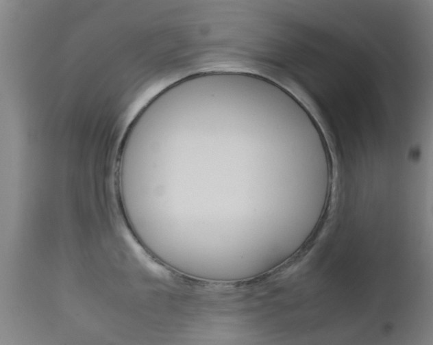 X0000111900909200907271007