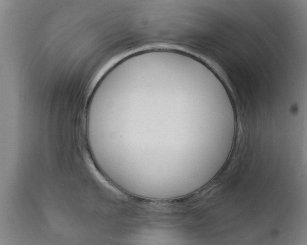 X0000111900911200907271007