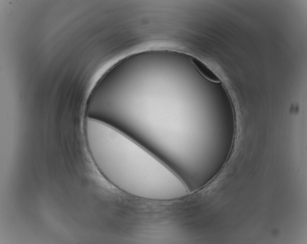 X0000111900912200907271007
