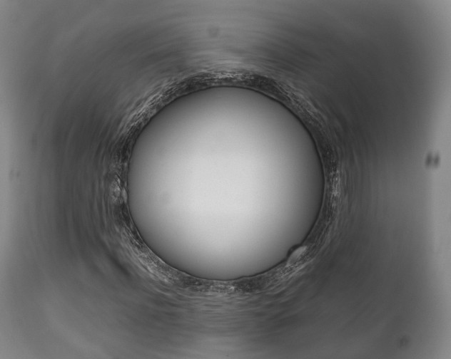X0000111900916200907271006