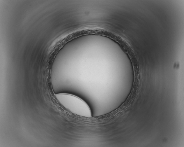 X0000111900920200907271006