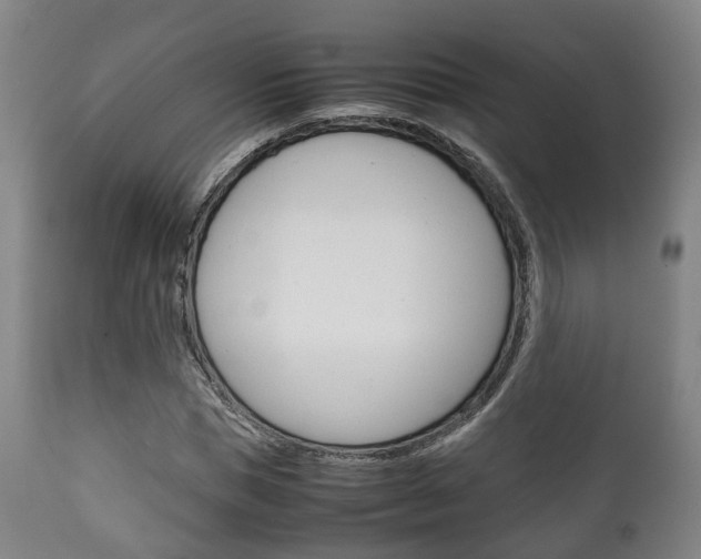 X0000111900921200907271006