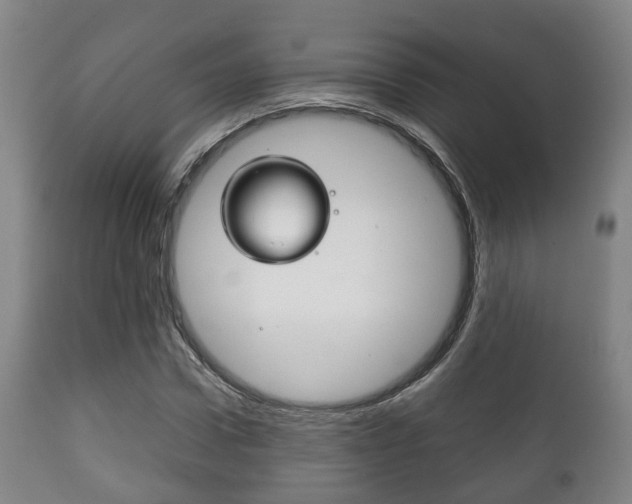 X0000111900922200907271006