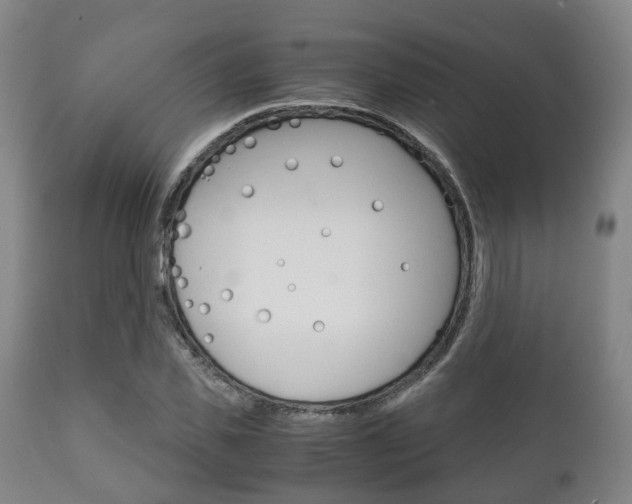 X0000111900925200907271006