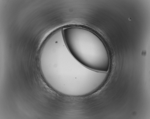 X0000111900926200907271006