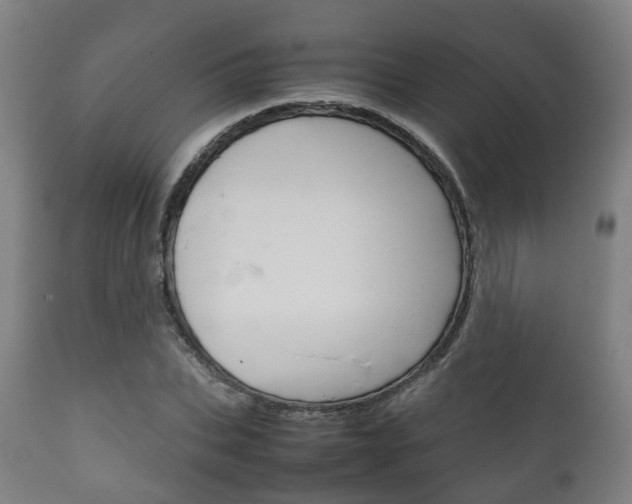 X0000111900927200907271006