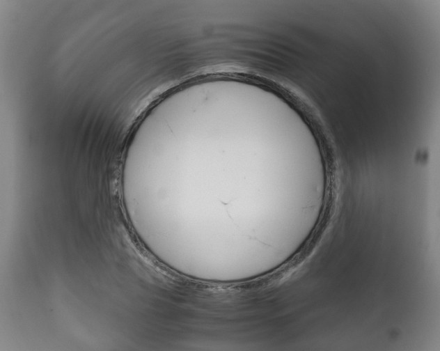 X0000111900929200907271006