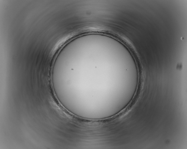 X0000111900930200907271006