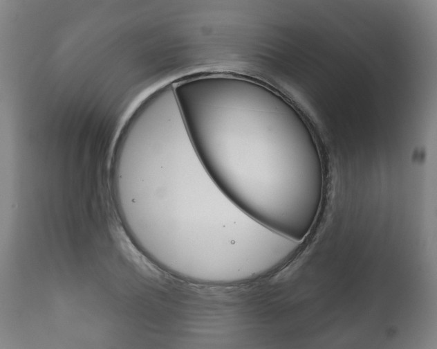 X0000111900932200907271006