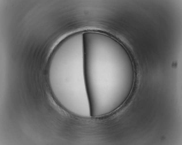 X0000111900934200907271006