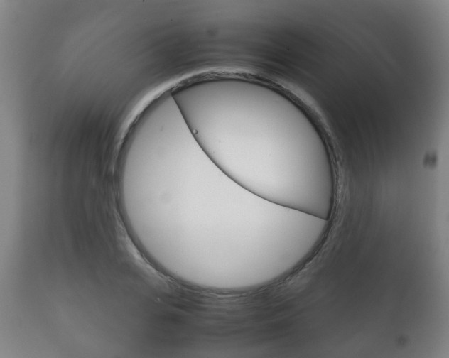 X0000111900935200907271006
