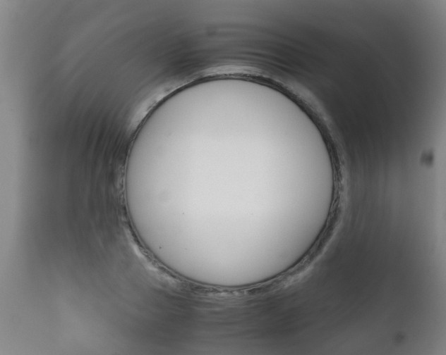 X0000111900937200907271006
