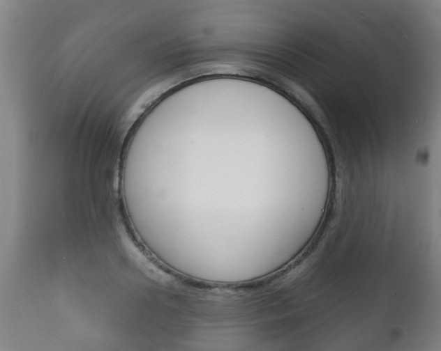 X0000111900938200907271006