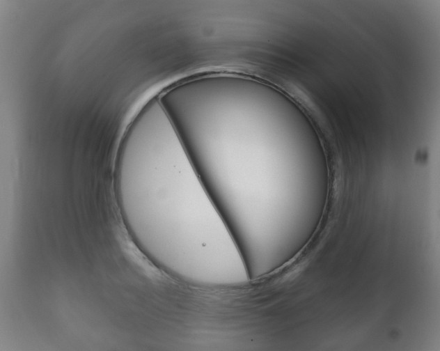 X0000111900940200907271006