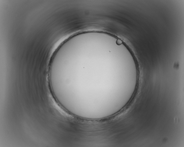 X0000111900941200907271006