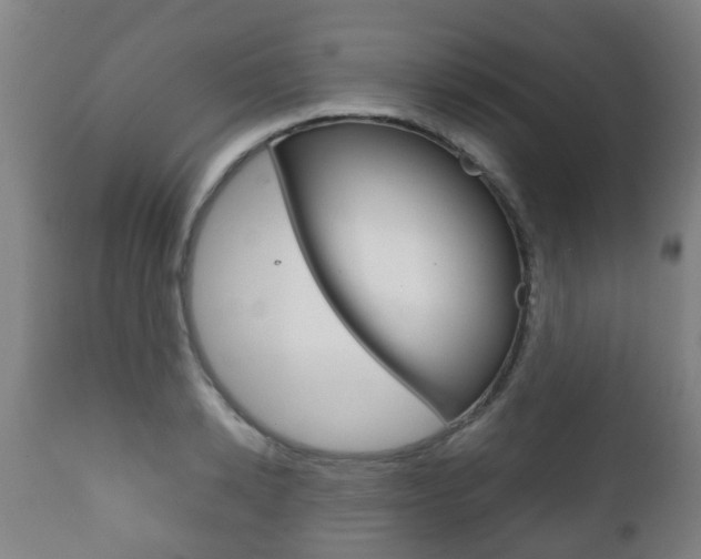 X0000111900942200907271006