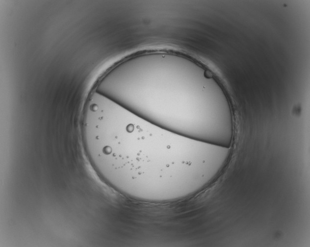 X0000111900943200907271006