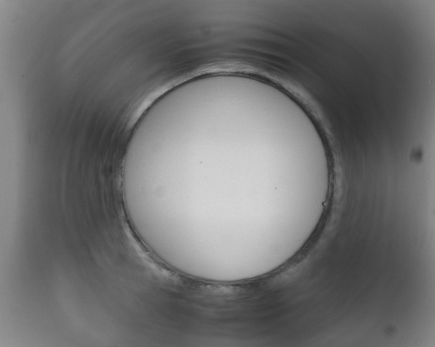 X0000111900945200907271006