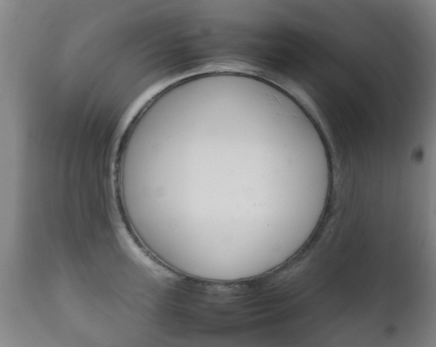 X0000111900947200907271006