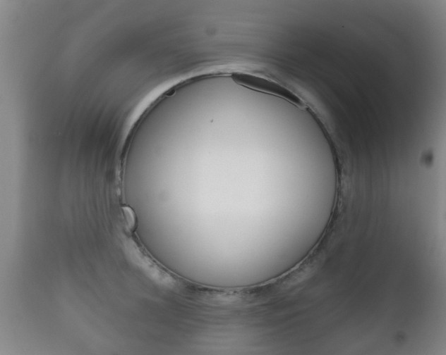 X0000111900948200907271006