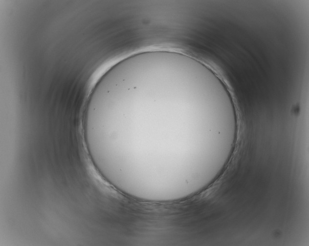 X0000111900952200907271007