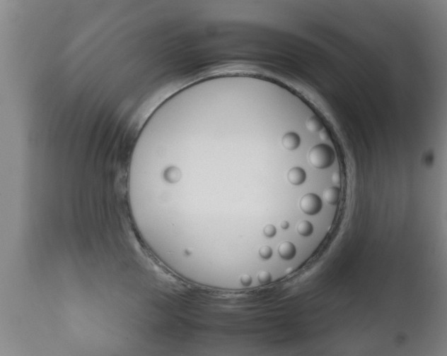 X0000111900953200907271007