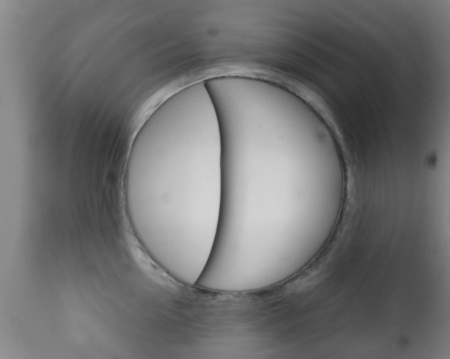 X0000111900954200907271007