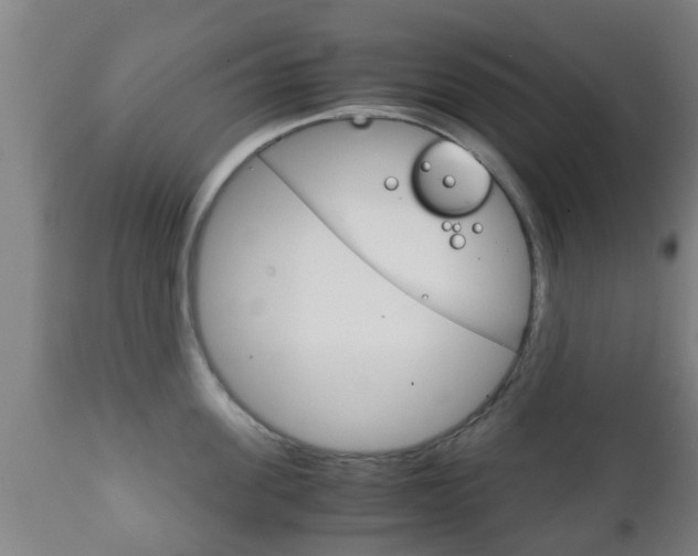 X0000111900955200907271007