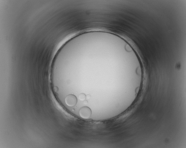 X0000111900957200907271007
