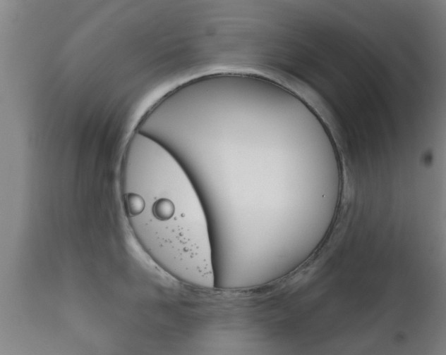 X0000111900958200907271007