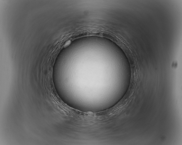 X0000111900961200907271006