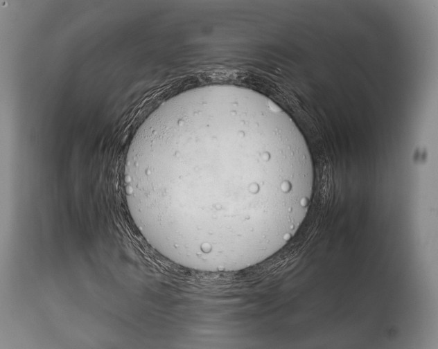 X0000111900962200907271006