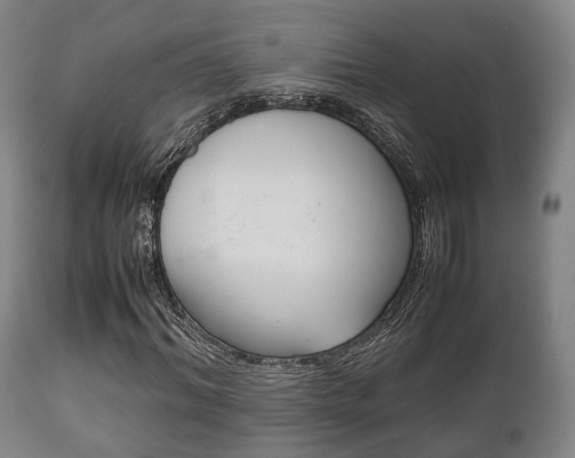 X0000111900964200907271006