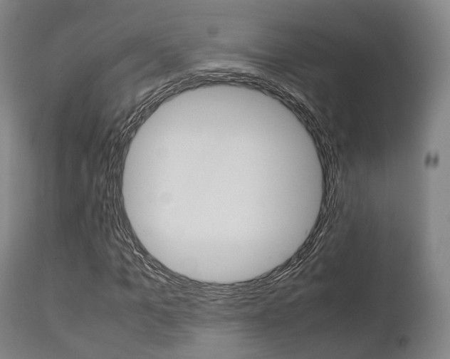 X0000111900965200907271006