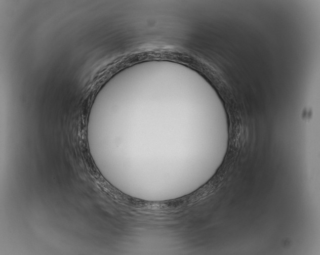 X0000111900966200907271006