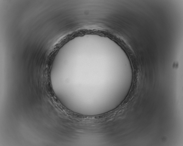 X0000111900968200907271006